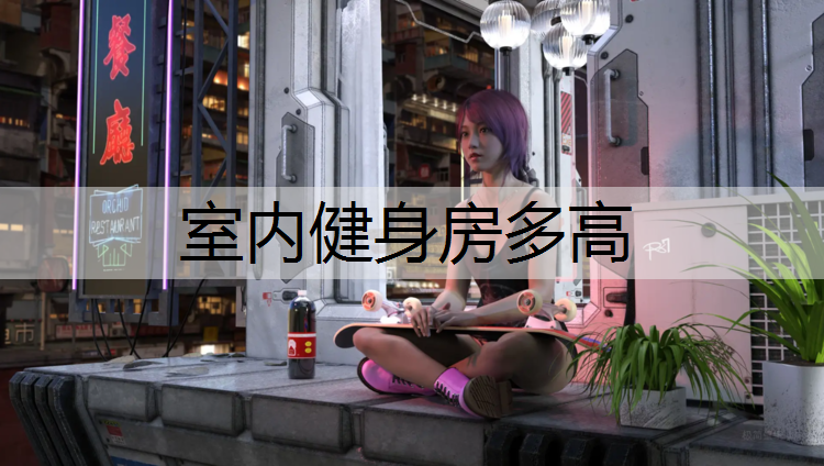 室内健身房多高