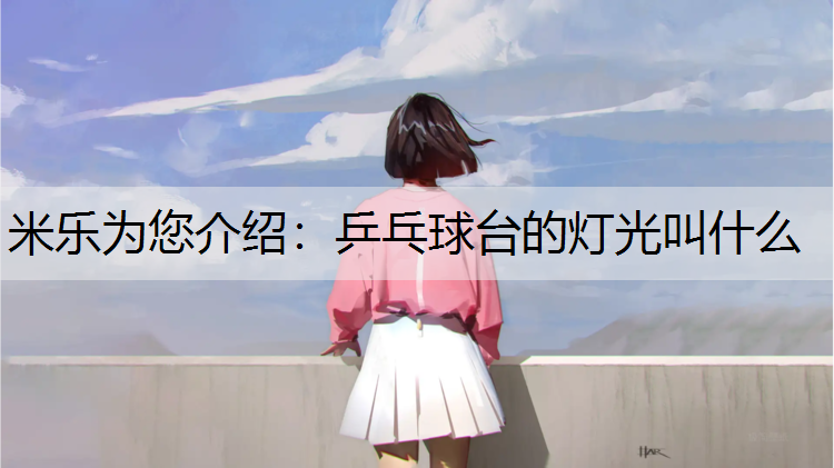 <strong>米乐为您介绍：乒乓球台的灯光叫什么</strong>