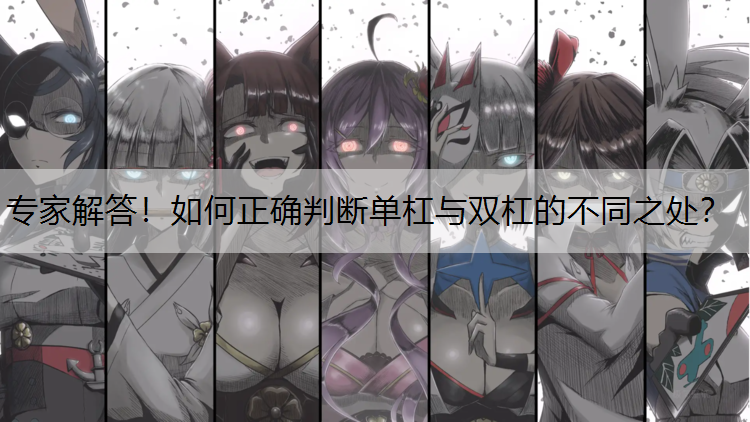 专家解答！如何正确判断单杠与双杠的不同之处？