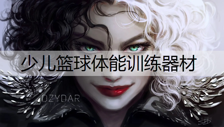 少儿篮球体能训练器材